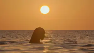 Задник до фильму"Русалонька" #578309