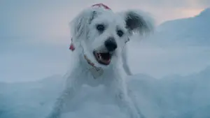 Задник до фильму"Супермен: Спадок" #513700