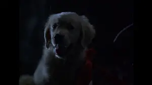 Задник до фильму"Наполеон" #646953