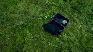 Задник до фильму"Олдбой" #517063