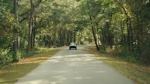 Задник до фильму"" #604381