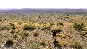 Задник до фильму"Нафта" #624117