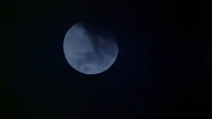 Задник до фильму"Американський перевертень у Лондоні" #701821