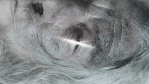 Задник до фильму"Володар перснів: Дві вежі" #516316