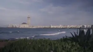 Задник до фильму"Je t