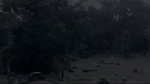 Задник до фильму"" #544658