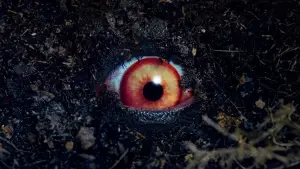 Задник до фильму"禁じられた遊び" #758126