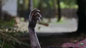 Задник до фильму"" #575281