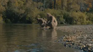 Задник до фильму"" #745843