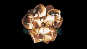 Задник до фильму"Магнолія" #670075