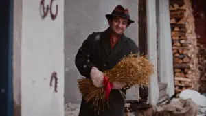 Задник до фильму"Пригоди Тедді" #165569