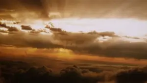 Задник до фильму"Чужий: Воскресіння" #600614