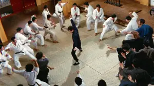 Задник до фильму"Шалений кулак" #801824