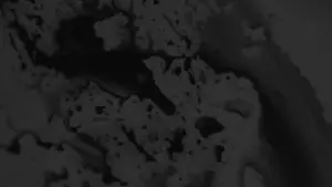 Задник до фильму"" #554400