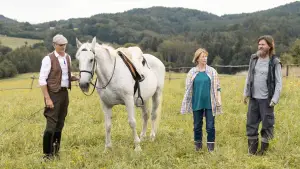 Задник до фильму"" #714516