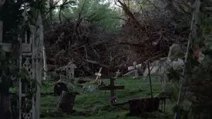 Задник до фильму"Кладовище домашніх тварин" #276054