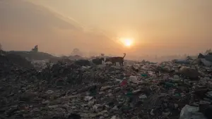 Задник до фильму"Plastic Fantastic" #761560