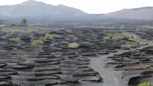 Задник до фильму"Гірке Різдво" #796263