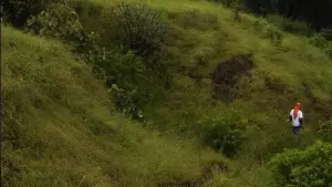 Задник до фильму"" #460166