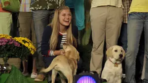 Задник до фильму"Марлі та я 2" #397640