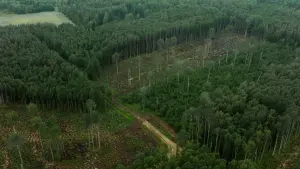 Задник до фильму"" #353395