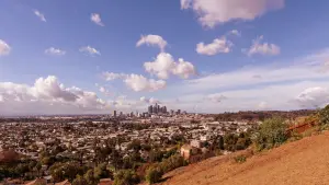 Задник до фильму"Bound by Honor" #750558