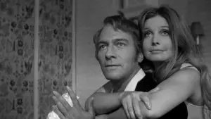 Задник до фильму"Повернення Рожевої пантери" #506116