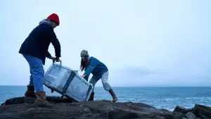 Задник до фильму"" #424410