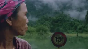 Задник до фильму"Tóc, giấy và nước..." #773496