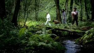 Задник до фильму"" #164454