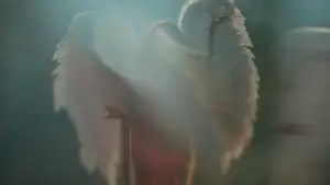 Задник до фильму"Заповіт Анни Лі" #796100