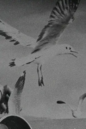 Постер до фильму"โลคอลเซนเซชันส์" #782249