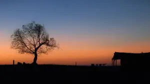 Задник до фильму"Непрощений" #657908