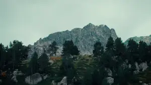 Задник до фильму"Sempre, sempre" #775603