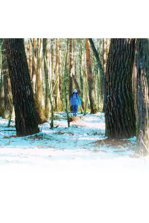 Постер до фильму"Зла не існує" #756379