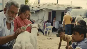 Задник до фильму"Ciudad sin sueño" #764951