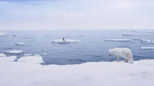 Задник до фильму"Кіна та Юк: Пухнасті пригоди" #757763