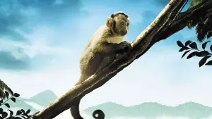 Задник до фильму"" #708202