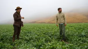 Задник до фильму"Нафта" #624090