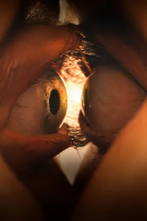 Постер до фильму"Одне ціле" #528069