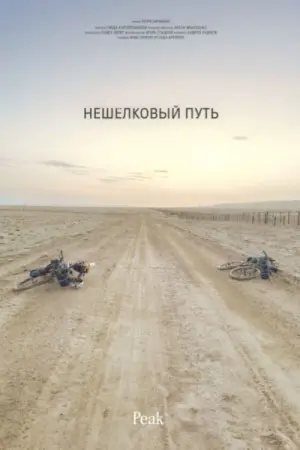 Нешелковый путь