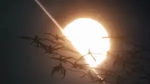 Задник до фильму"Аватар 3" #795291