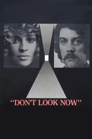 Постер до фильму"Don