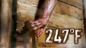 Задник до фильму"247 градусів за Фаренгейтом" #121458