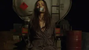 Задник до фильму"Відкриті вікна" #438159