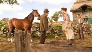 Задник до фильму"Бойовий кінь" #719027