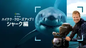 Задник до фильму"Sharks Up Close with Bertie Gregory" #793004