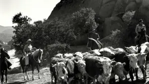 Задник до фильму"" #478181