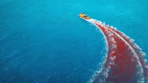 Задник до фильму"Небезпечна тварина" #762301