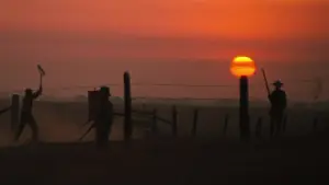 Задник до фильму"Холоднокровний Люк" #754846